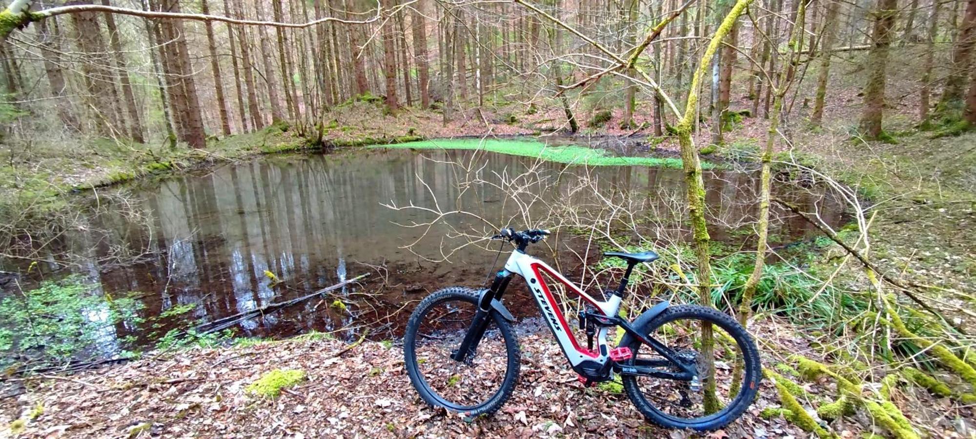 Ferienwohnung Hecht - Biketrail Fun & Relaxing Wolfegg Exterior foto