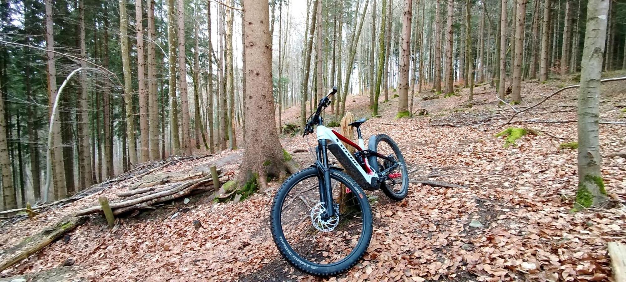 Ferienwohnung Hecht - Biketrail Fun & Relaxing Wolfegg Exterior foto